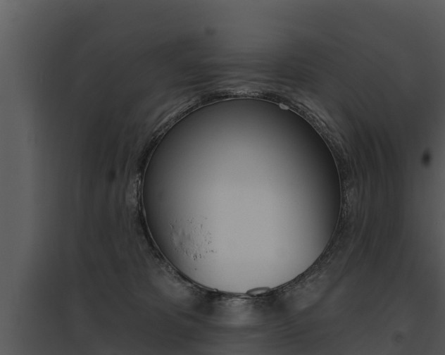 X0000095680325200801081109
