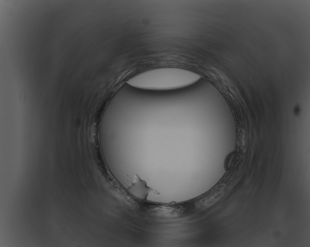 X0000095680326200801081109