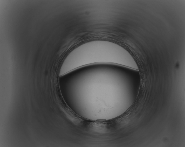 X0000095680327200801081109