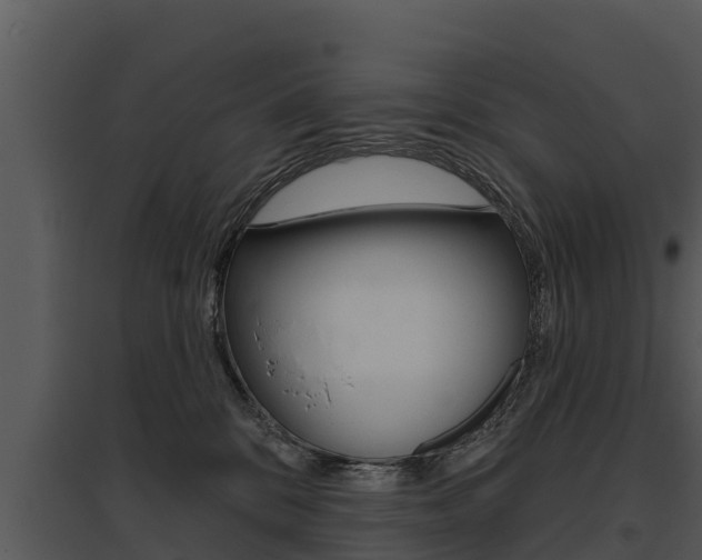 X0000095680328200801081109