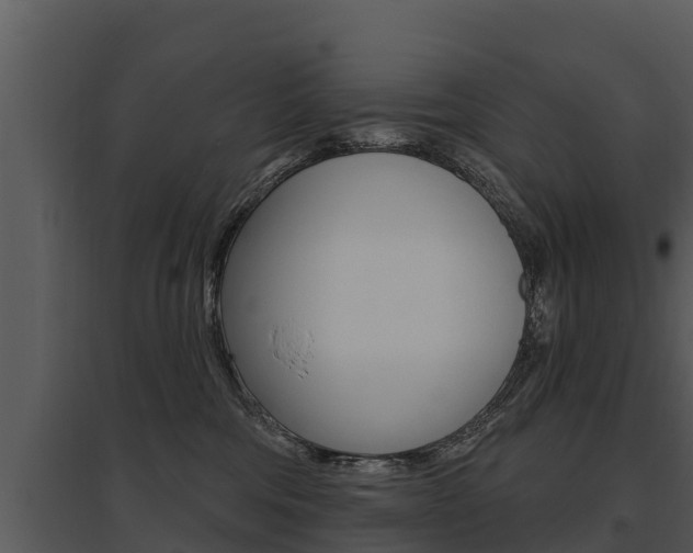 X0000095680330200801081109