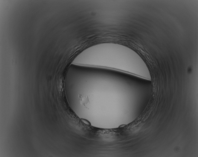 X0000095680331200801081109