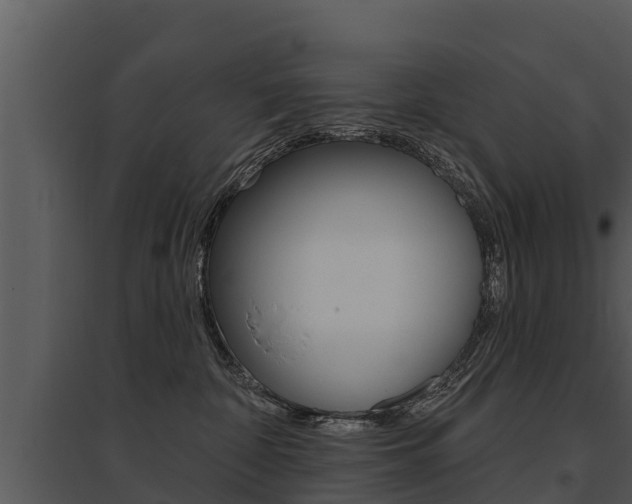 X0000095680332200801081109