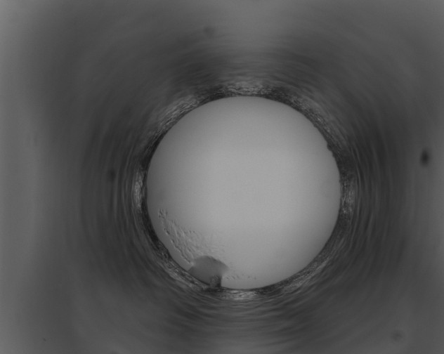 X0000095680334200801081109