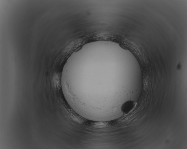 X0000095680335200801081109