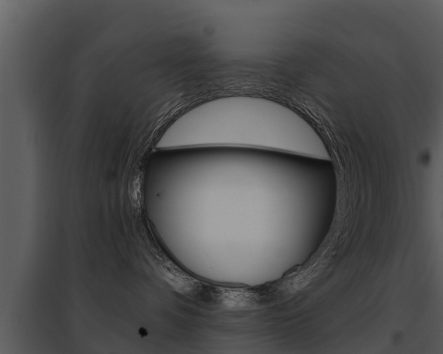 X0000095680336200801081109