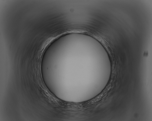 X0000095680337200801081108