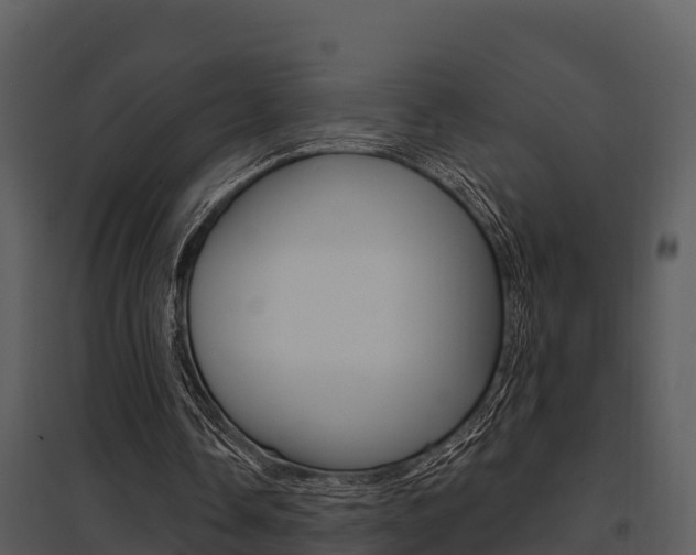 X0000095680338200801081108