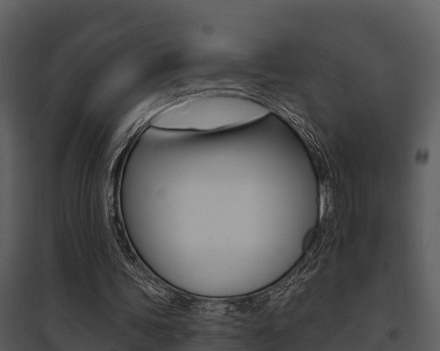 X0000095680339200801081108