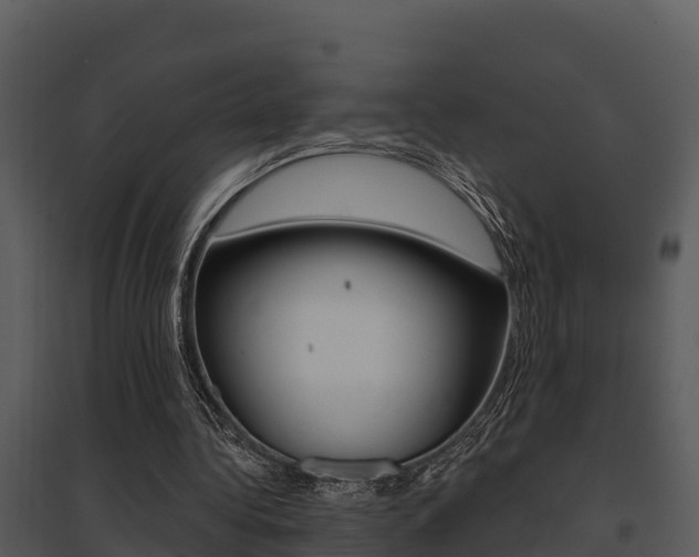 X0000095680340200801081108