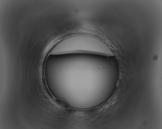X0000095680341200801081108