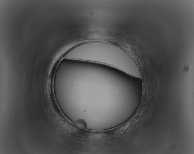 X0000095680342200801081108
