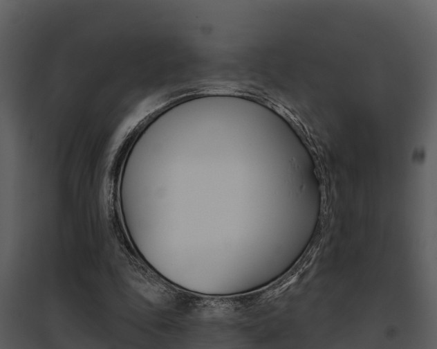 X0000095680343200801081108