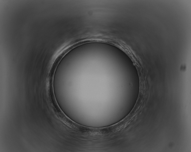 X0000095680344200801081108