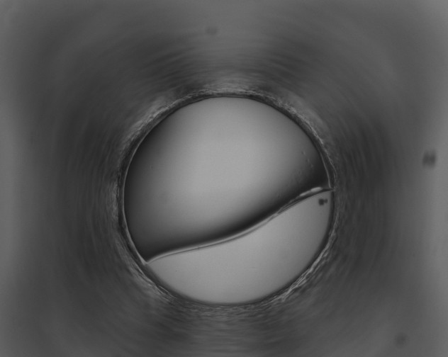 X0000095680345200801081108