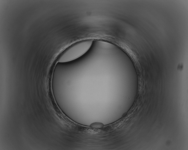 X0000095680346200801081108