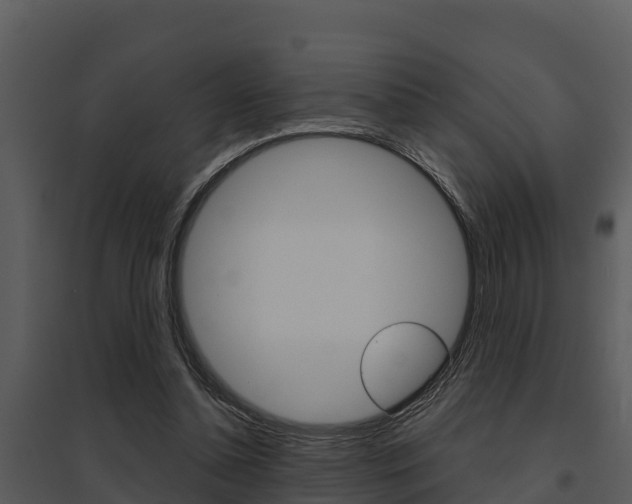 X0000095680348200801081108