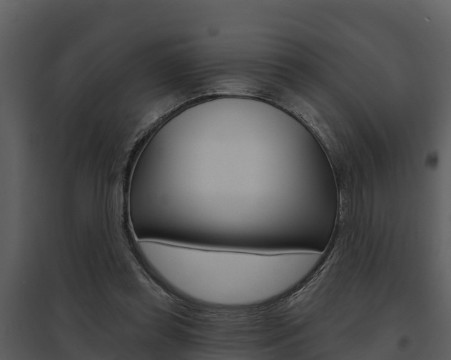 X0000095680349200801081108