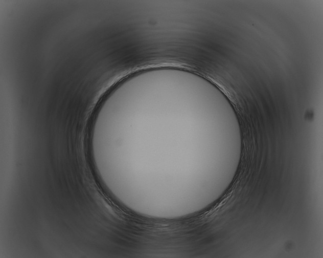 X0000095680350200801081108
