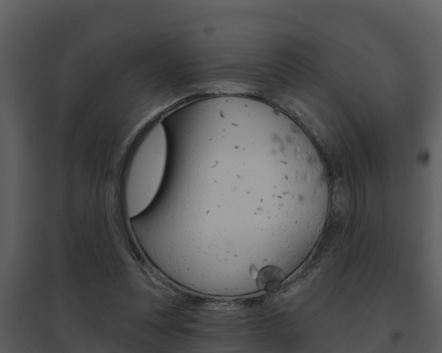 X0000095680351200801081108