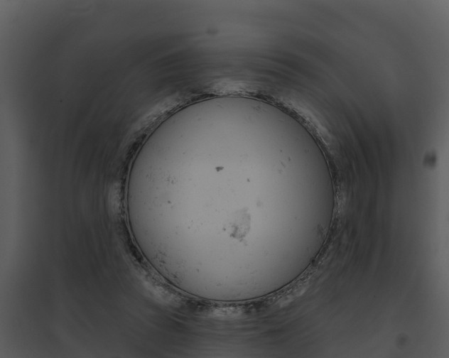 X0000095680353200801081108