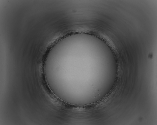 X0000095680354200801081108