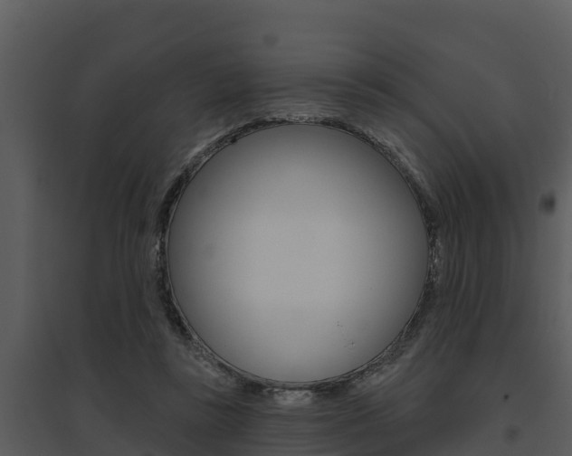 X0000095680355200801081108