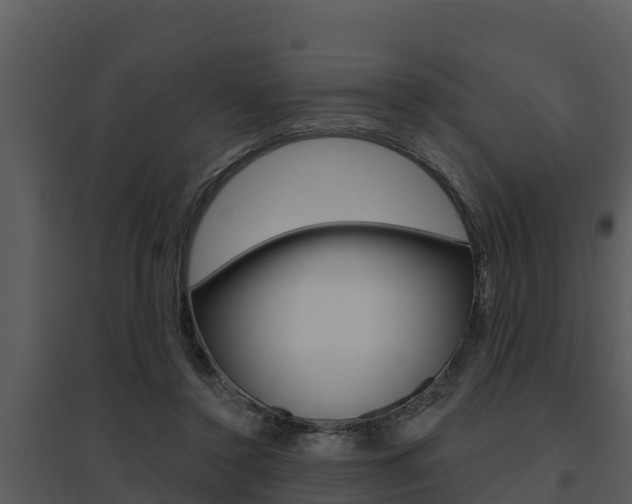 X0000095680356200801081108