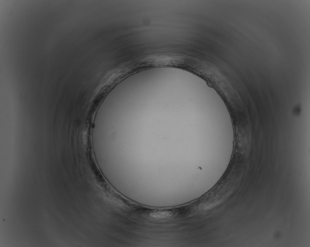 X0000095680357200801081108