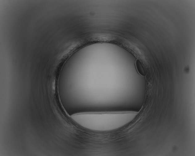 X0000095680358200801081108