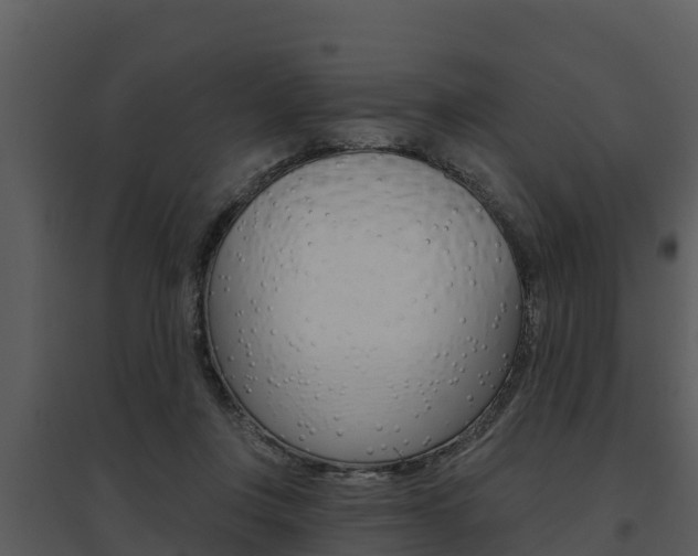 X0000095680359200801081108