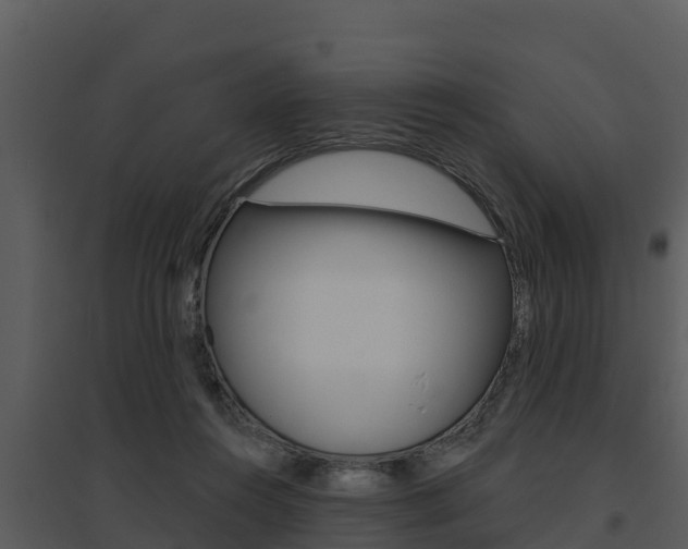 X0000095680360200801081108