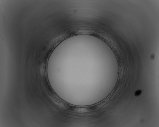 X0000095680361200801081108