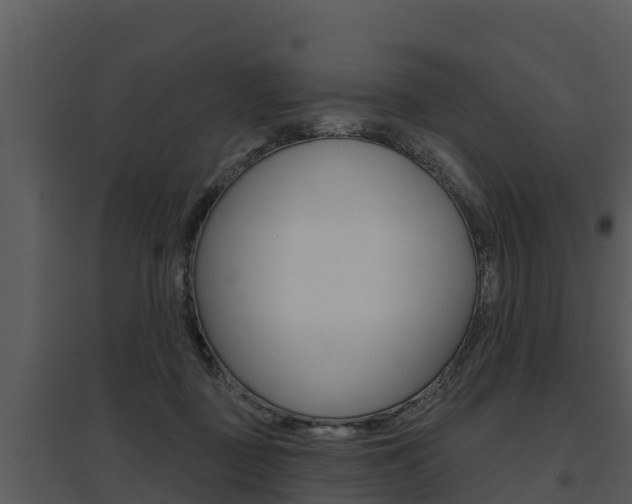 X0000095680363200801081108