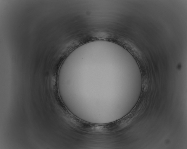 X0000095680365200801081108