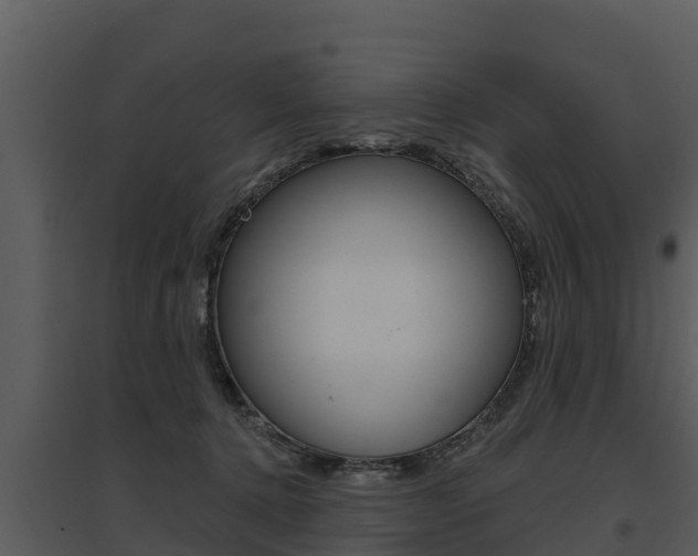X0000095680368200801081108