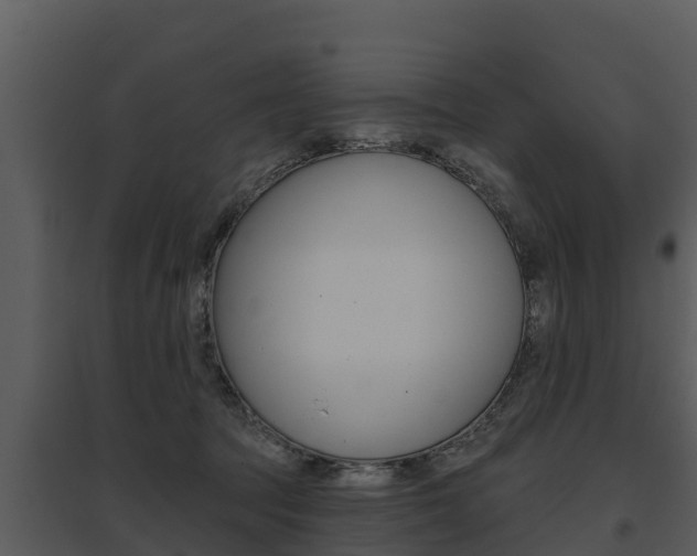 X0000095680369200801081108