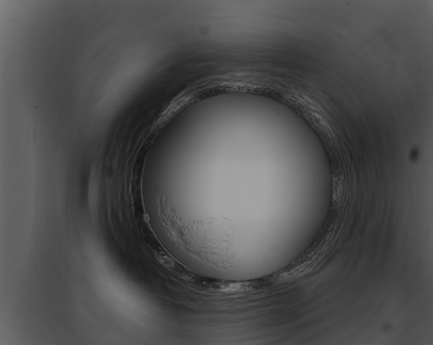 X0000095680382200801081109