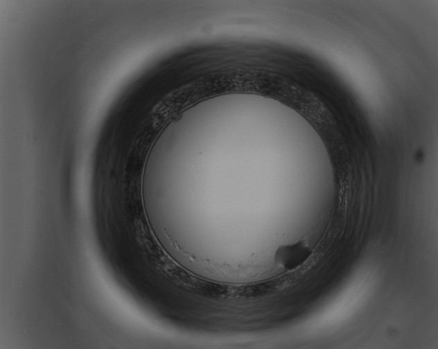 X0000095680383200801081109