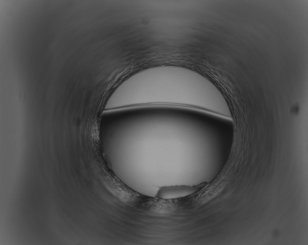 X0000095680384200801081109