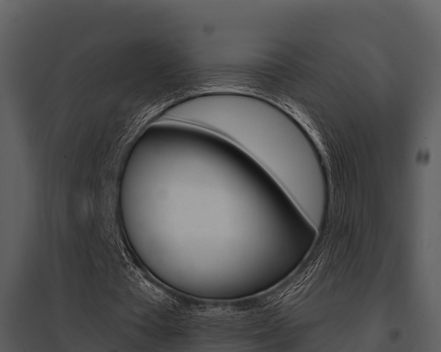X0000095680385200801081108