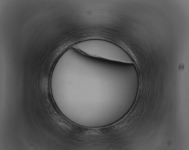X0000095680386200801081108