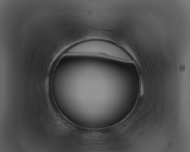 X0000095680387200801081108