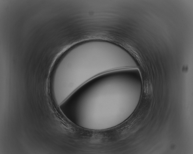 X0000095680388200801081108