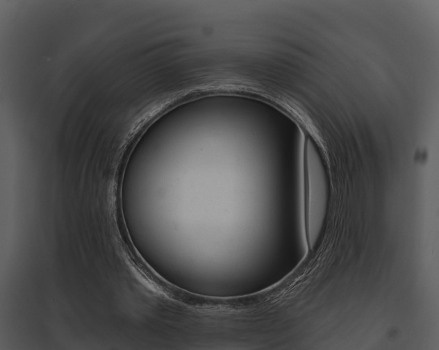 X0000095680389200801081108