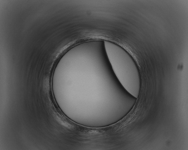 X0000095680390200801081108