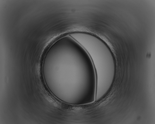 X0000095680391200801081108