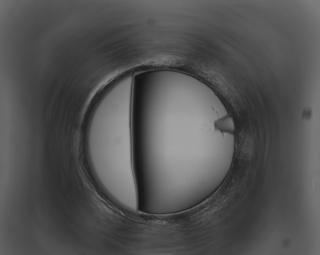 X0000095680392200801081108