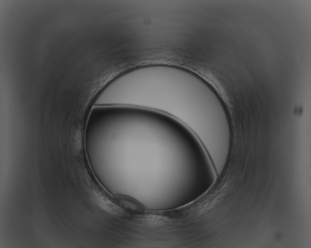 X0000095680393200801081108