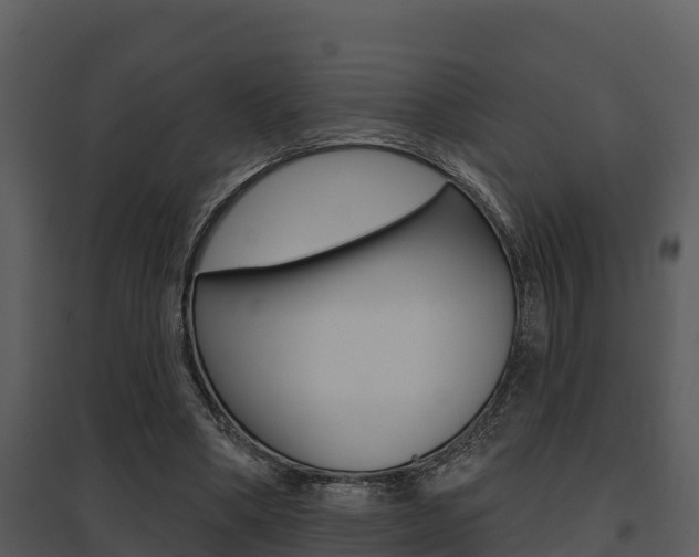X0000095680394200801081108